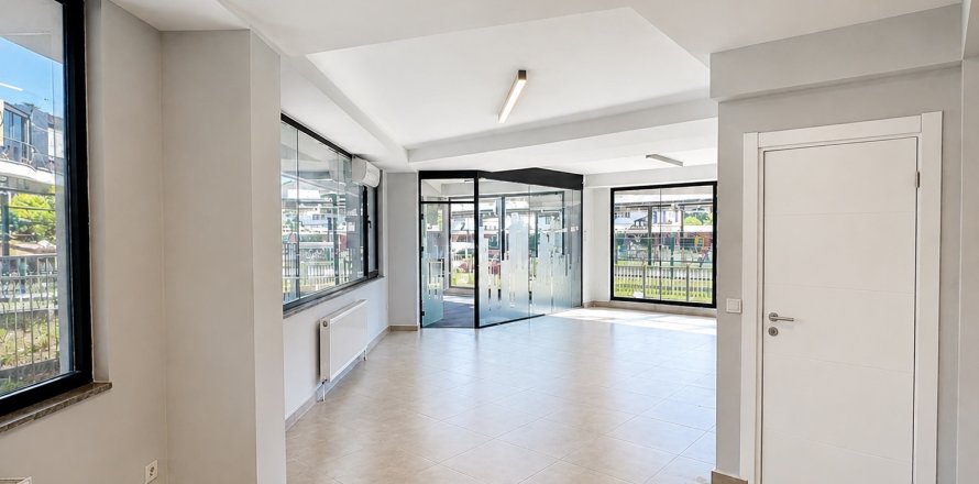 Ticari gayrimenkul   Maltepe, İstanbul, Türkiye №232171