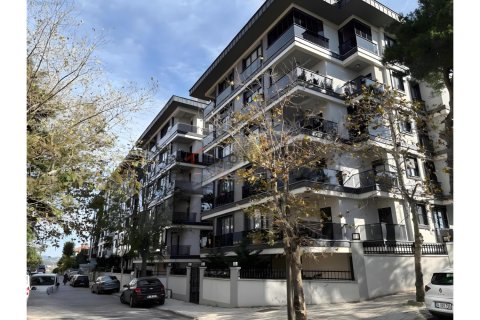 2+1 Lägenhet  i Üsküdar, Istanbul, istanbul, Turkiet Nr. 215467