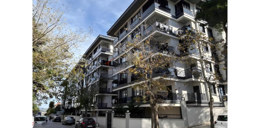 2+1 Wohnung in Üsküdar, Istanbul, Türkei Nr. 215467