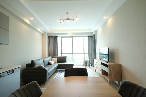 Daire 1+1 Antalya, Türkiye №211780 - 9