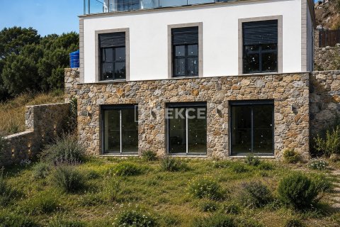 4+2 Villa  i Milas, Mugla, Turkiet Nr. 227634 - 3