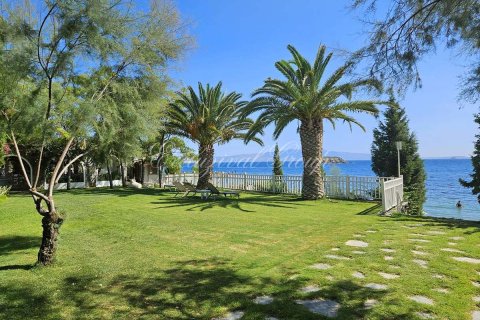 2+1 Villa i Bodrum, Mugla, Turkiet Nr. 223194 - 19