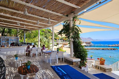 2+1 Villa i Bodrum, Mugla, Turkiet Nr. 223194 - 4