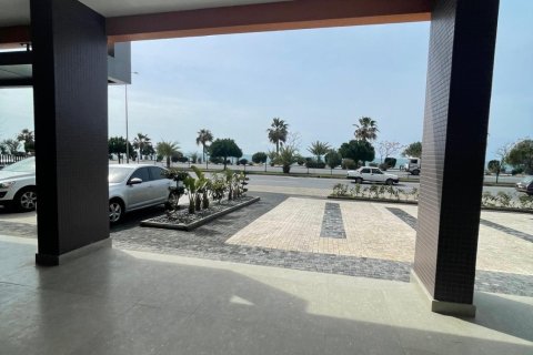 Gewerbeimmobilien in Kestel, Antalya, Türkei Nr. 218309 - 2