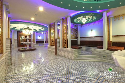 2+1 Leilighet i Alanya, Antalya, Tyrkia Nr. 216928 - 20