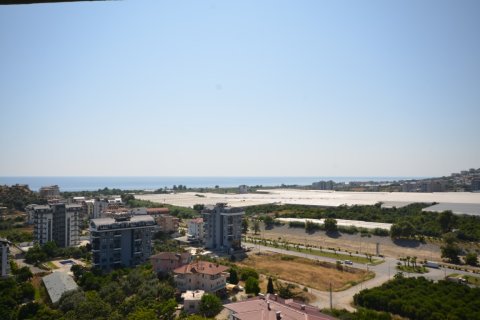 2+1 Wohnung  in Alanya, Antalya, Türkei Nr. 216933 - 7