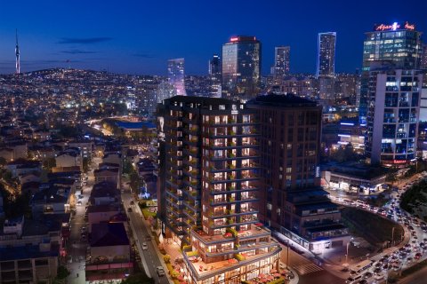 2+1 Wohnung  in Istanbul, Türkei Nr. 228960 - 6