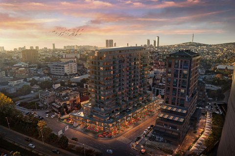 3+1 Wohnung  in Istanbul, Türkei Nr. 228959 - 5