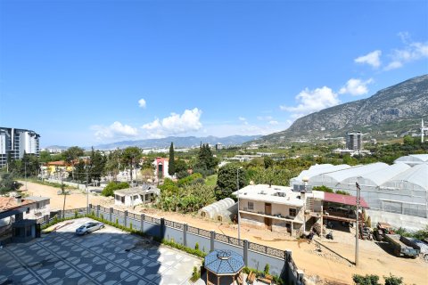 1+1 Leilighet  i Alanya, Antalya, Tyrkia Nr. 228370 - 20