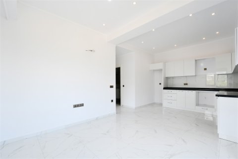 1+1 Leilighet  i Alanya, Antalya, Tyrkia Nr. 228370 - 14