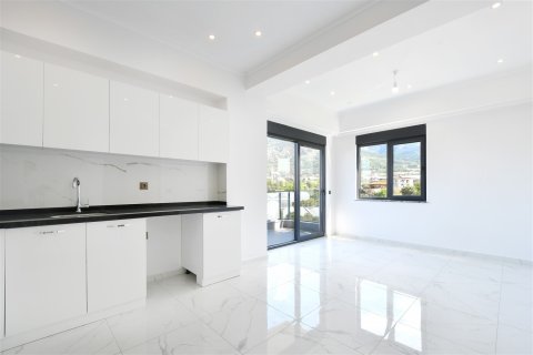 1+1 Leilighet  i Alanya, Antalya, Tyrkia Nr. 228370 - 12