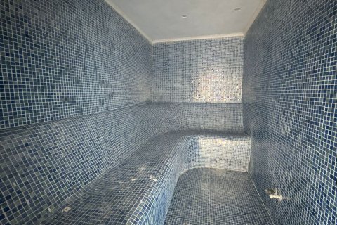 Daire  2+1  Alanya, Antalya, Türkiye №215615 - 22