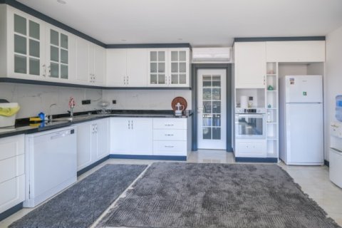 6+1 Villa i Antalya, Tyrkiet Nr. 222494 - 21