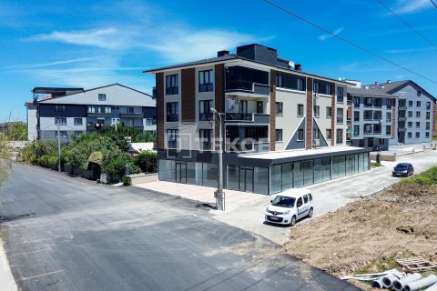 Коммерческая недвижимость  460м2 в Чифтликкёе, Ялова, Турция №226619