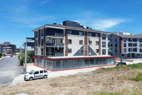 Ticari gayrimenkul   Çiftlikköy, Yalova, Türkiye №226619 - 3