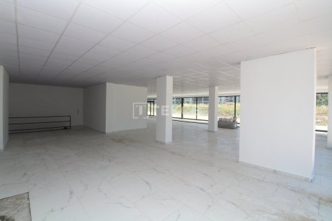 Ticari gayrimenkul   Çiftlikköy, Yalova, Türkiye №226619 - 11