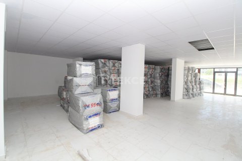 Ticari gayrimenkul   Çiftlikköy, Yalova, Türkiye №226619 - 10