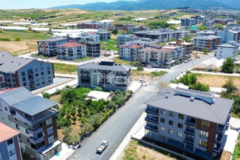 Ticari gayrimenkul   Çiftlikköy, Yalova, Türkiye №226619 - 4
