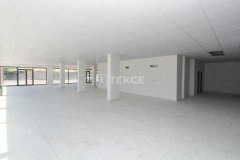 Ticari gayrimenkul   Çiftlikköy, Yalova, Türkiye №226619 - 8