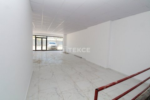 Ticari gayrimenkul   Çiftlikköy, Yalova, Türkiye №226619 - 12