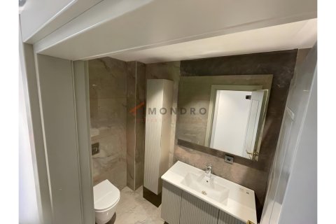 4+1 Lägenhet i Beylikduezue, istanbul, Turkiet Nr. 225276 - 15