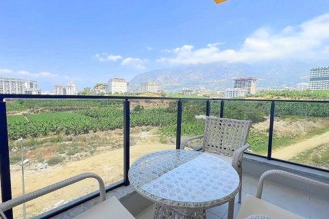 1+0 Wohnung in Mahmutlar, Antalya, Türkei Nr. 228884 - 14