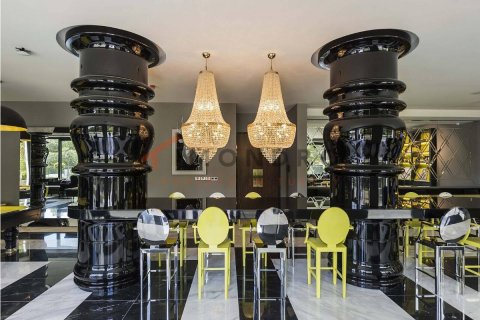 آپارتمان در Besiktas،  Istanbul ، ترکیه 5 خوابه ، 455 متر مربع.  شماره 215534 - 12