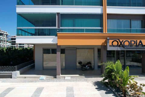 ملک تجاری در  Alanya ، ترکیه 303 متر مربع.  شماره 222965 - 14