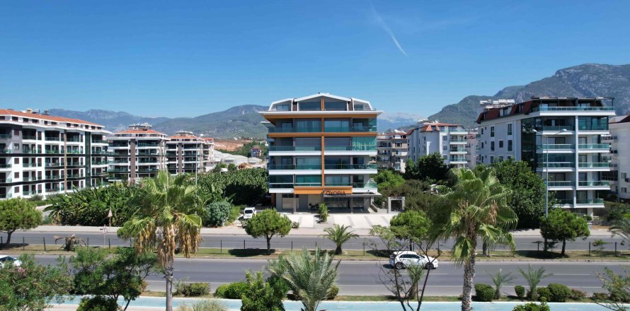 ملک تجاری در  Alanya ، ترکیه 303 متر مربع.  شماره 222965