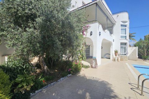 Villa for sale  in Mahmutlar, Antalya, Turkey, 4 bedrooms, 595m2, No. 217786 – photo 14