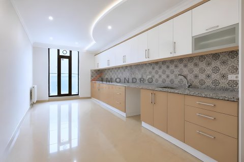 2+1 Wohnung  in Küçükçekmece, Istanbul, Türkei Nr. 238120 - 9