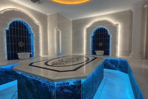Wohnung  in Alanya, Antalya, Türkei Nr. 213162 - 23