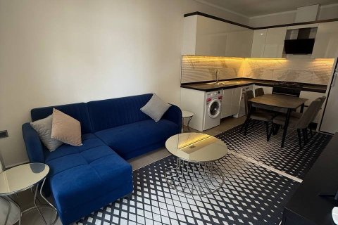 Daire  1+0  Kargıcak, Alanya, Antalya, Türkiye №224946