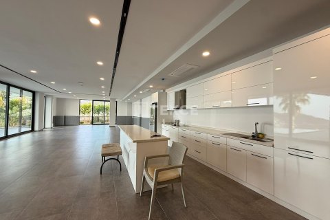 6+2 Villa  i Alanya, Antalya, Tyrkia Nr. 217116 - 22