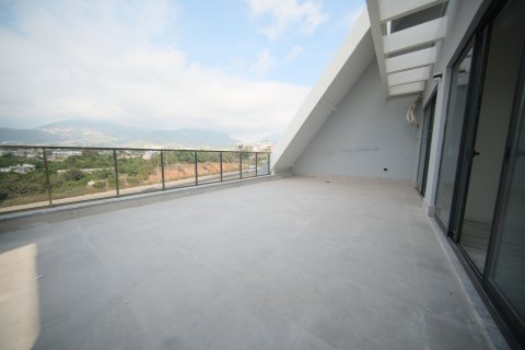 Erhvervsejendom  i Oba, Antalya, Tyrkiet Nr. 218136 - 8
