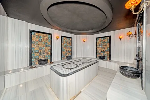 3+1 Wohnung  in Alanya, Antalya, Türkei Nr. 223764 - 30