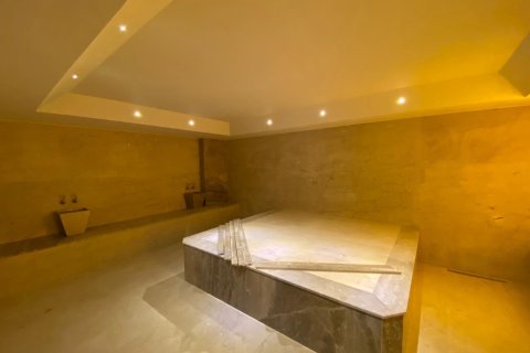 1+0 Lägenhet  i Alanya, Antalya, Turkiet Nr. 225073 - 15