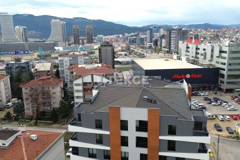 Daire 2+1 Bursa, Türkiye №227683 - 2