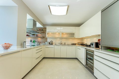 6+1 Villa  in Beykoz, Istanbul, Türkei Nr. 138904 - 8