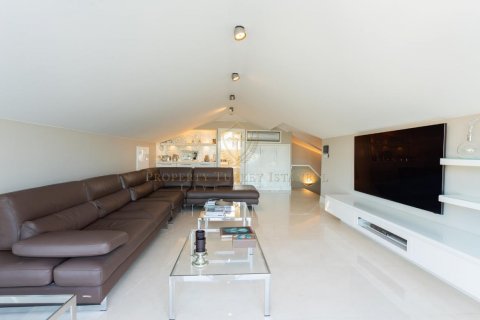 6+1 Villa  in Beykoz, Istanbul, Türkei Nr. 138904 - 4