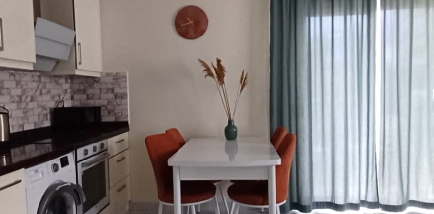 1+1 Apartment  in Alanya, Antalya, Turkey No. 228386
