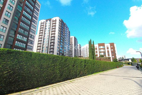 Daire 3+1 Beylikdüzü, İstanbul, Türkiye №215451 - 12