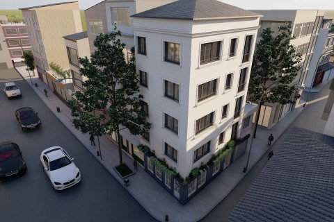 8+1 Apartment in Istanbul, Turkey No. 222678