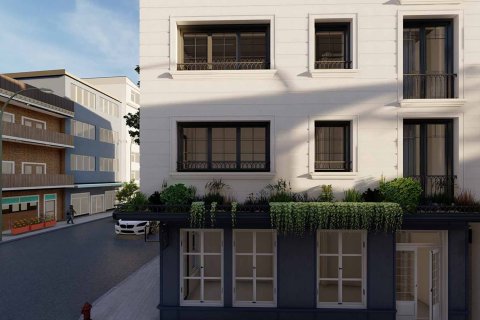 8+1 Lägenhet i Istanbul, istanbul, Turkiet Nr. 222678 - 6