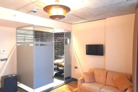 ملک تجاری در Istanbul ، ترکیه 200 متر مربع. شماره 222680 - 8