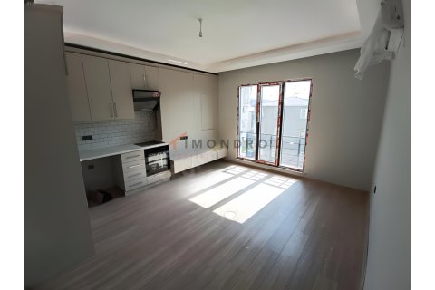 Apartment for sale in Beyoglu, Istanbul, Turkey, 1 bedroom, 55m2, No. 221862 – photo 8