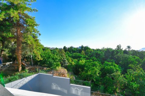 1+1 Wohnung  in Oba, Antalya, Türkei Nr. 227130 - 7