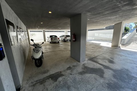 1+1 Leilighet i Alanya, Antalya, Tyrkia Nr. 47428 - 28