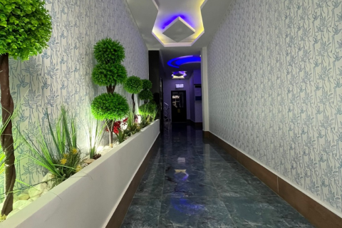 1+1 Wohnung in Alanya, Antalya, Türkei Nr. 216575 - 18