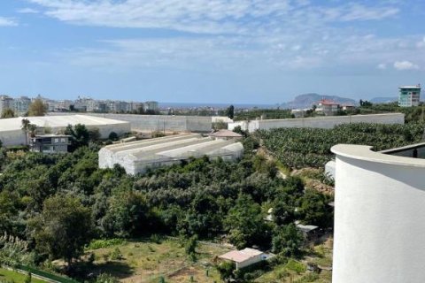 Wohnung in Mahmutlar, Antalya, Türkei Nr. 212280 - 14
